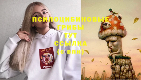 бошки Армянск