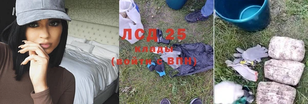 прущие грибы Алексин