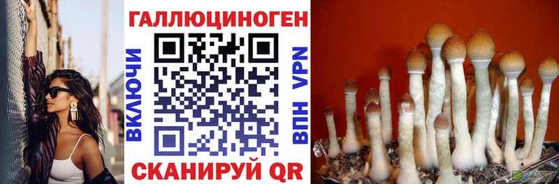 Галлюциногенные грибы прущие грибы Купить где Барнаул